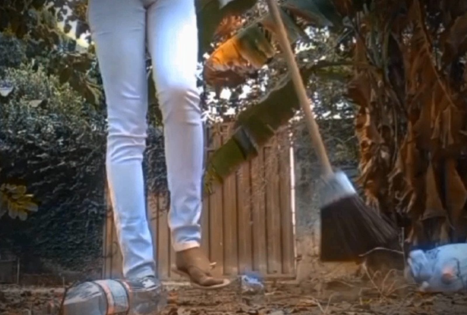 Screen Shot 2024-08-19 at 16.11.11 - Gustavo Jardim_Easy-Resize.com