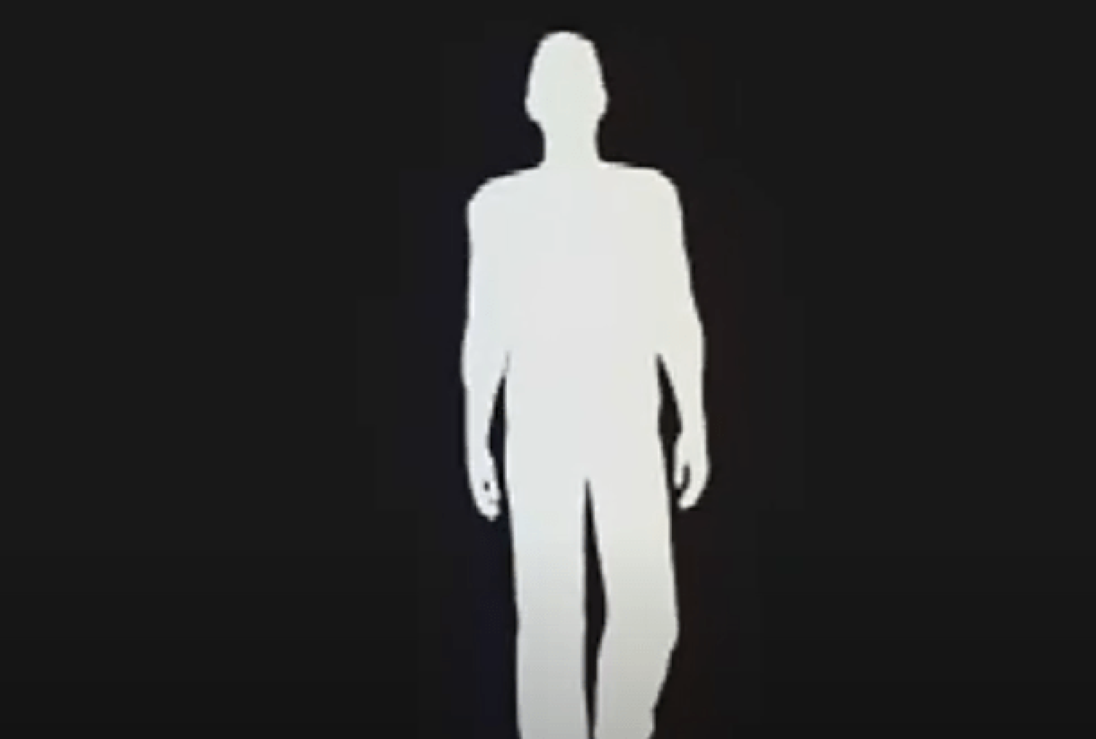 Screen Shot 2024-08-19 at 17.31.33 - Gustavo Jardim