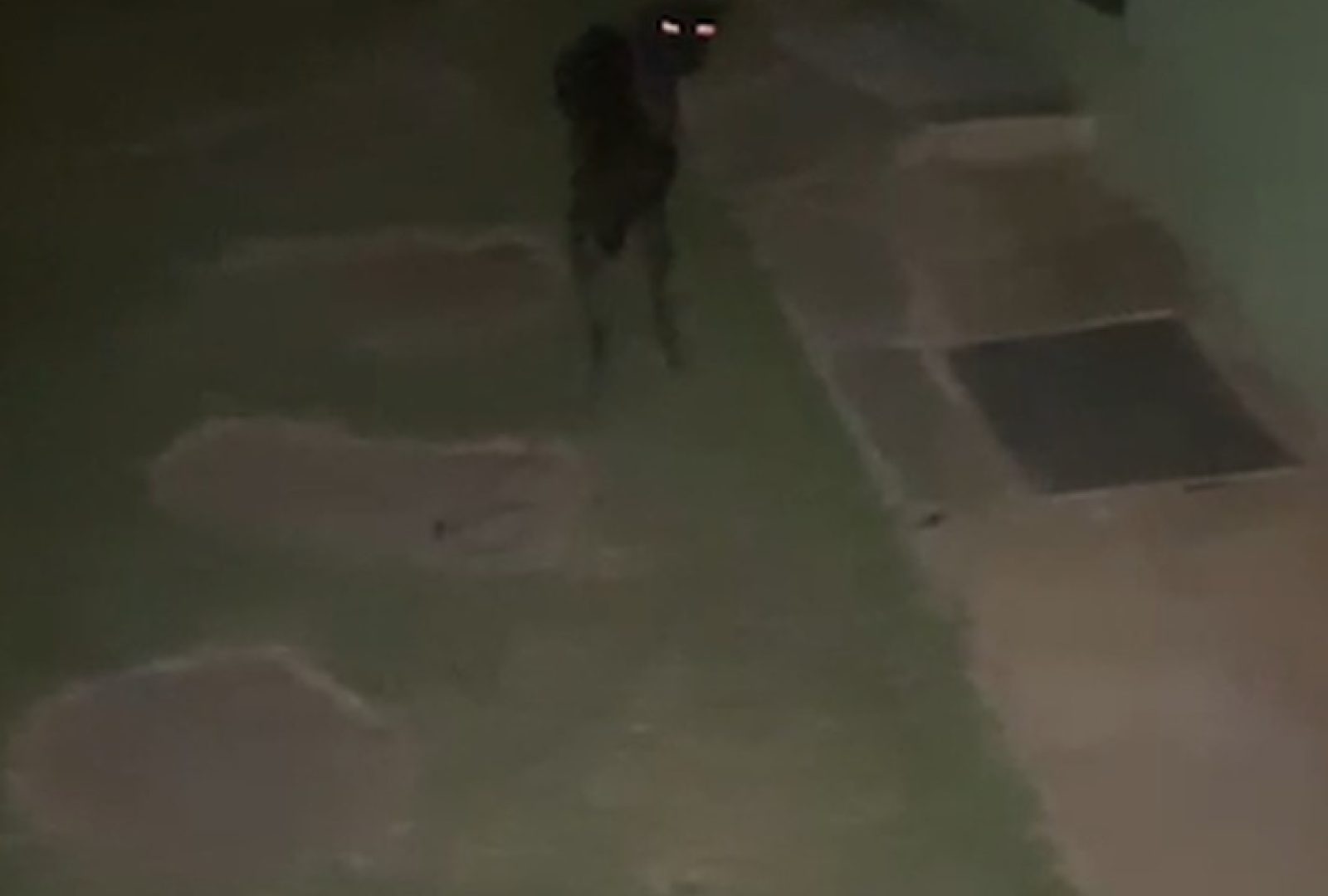 Screen Shot 2024-08-19 at 17.42.01 - Gustavo Jardim_Easy-Resize.com