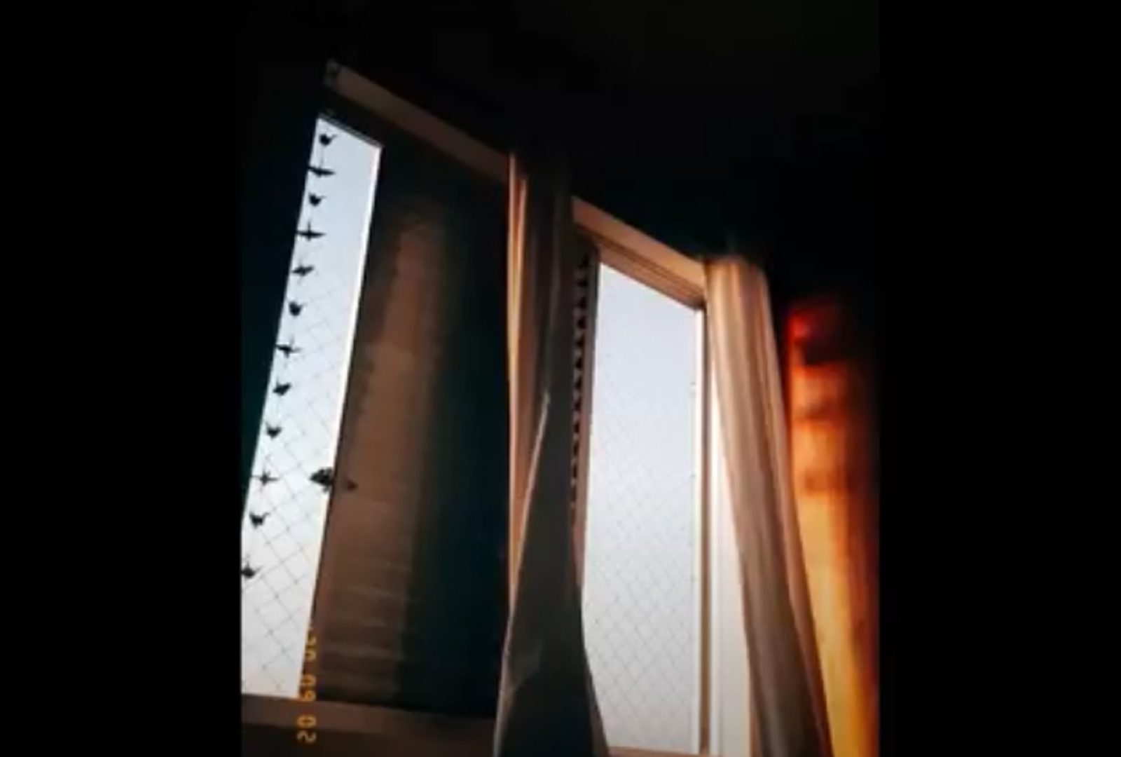 Screen Shot 2024-08-19 at 17.57.06 - Gustavo Jardim_Easy-Resize.com (1)